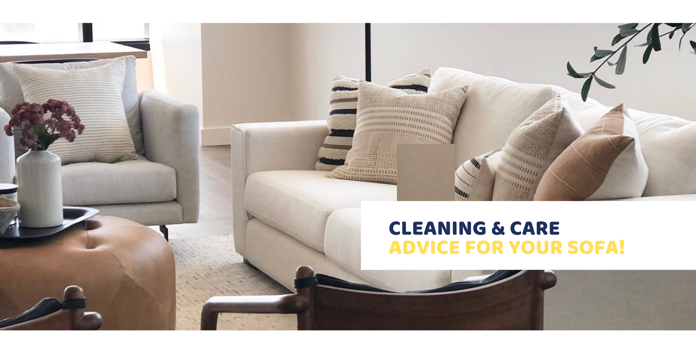 Deep Cleaning and Professional Help