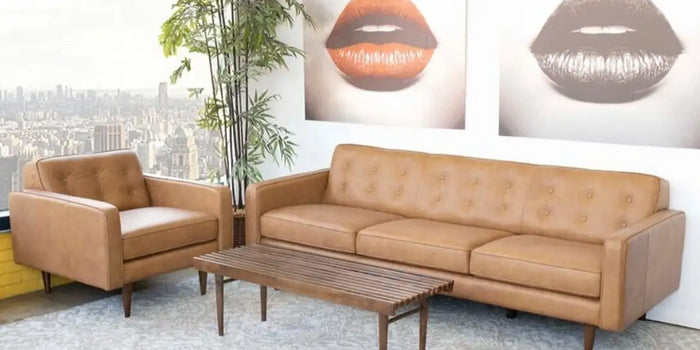 Sofa in the Spotlight: The Lottie