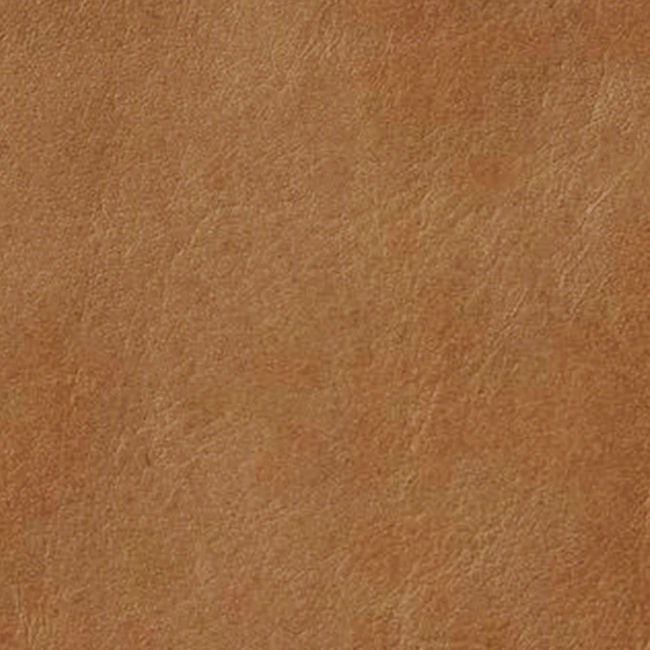 New Swatch - Leather - Caramel